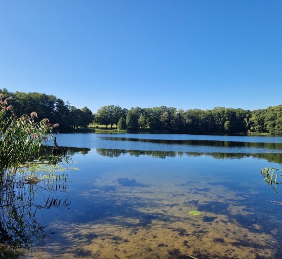 Reisebericht BEW Pankow Florastraße - See