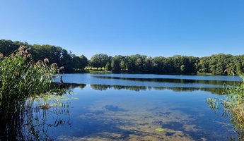 Reisebericht BEW Pankow Florastraße - See