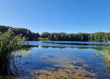 Reisebericht BEW Pankow Florastraße - See