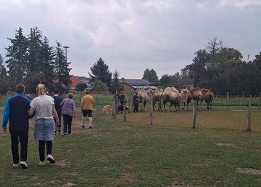 Reisebericht BEW Pankow Florastraße - Kamele