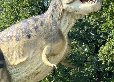 Reisebericht BEW Pankow Florastraße - Dinosaurier